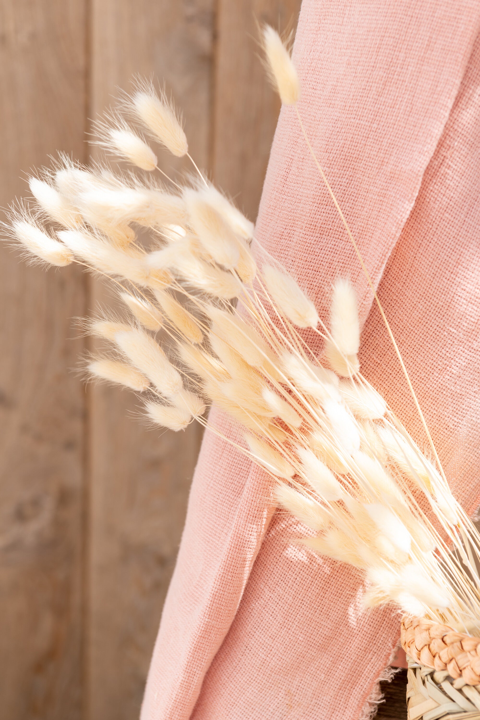 Bouquet Queue De Lievre Sechées Ecru Large