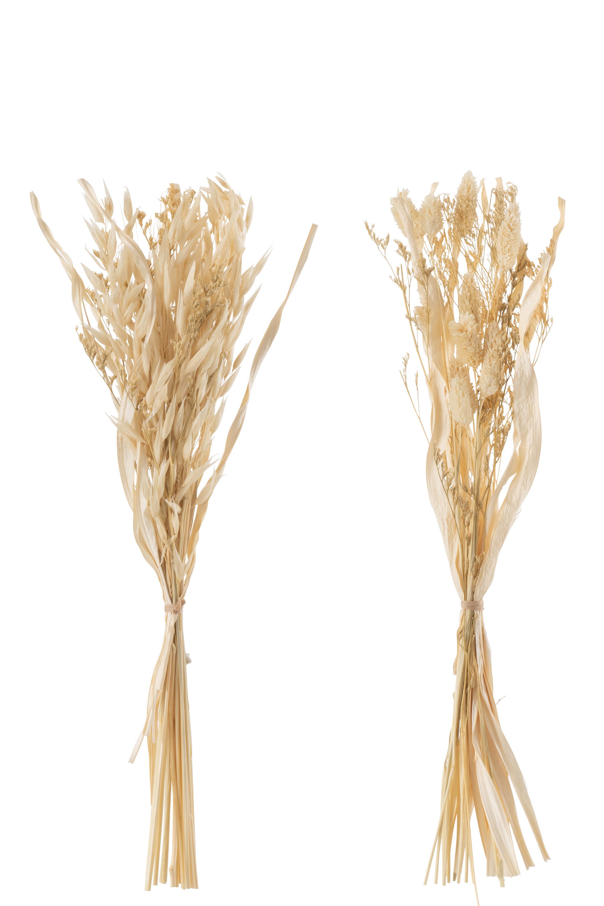 Bouquet Herbes Avana Sechées Naturel - Assortiment De 2