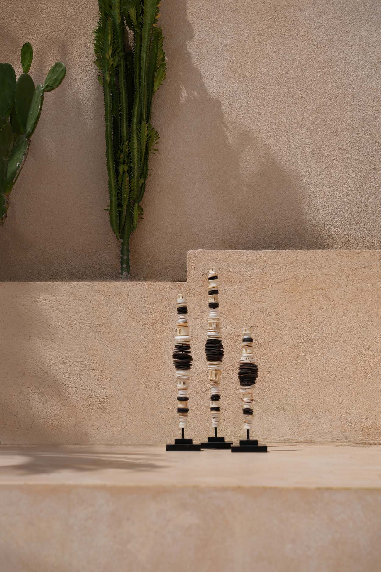 Le Money Shell sur Pied - Noir Blanc - S