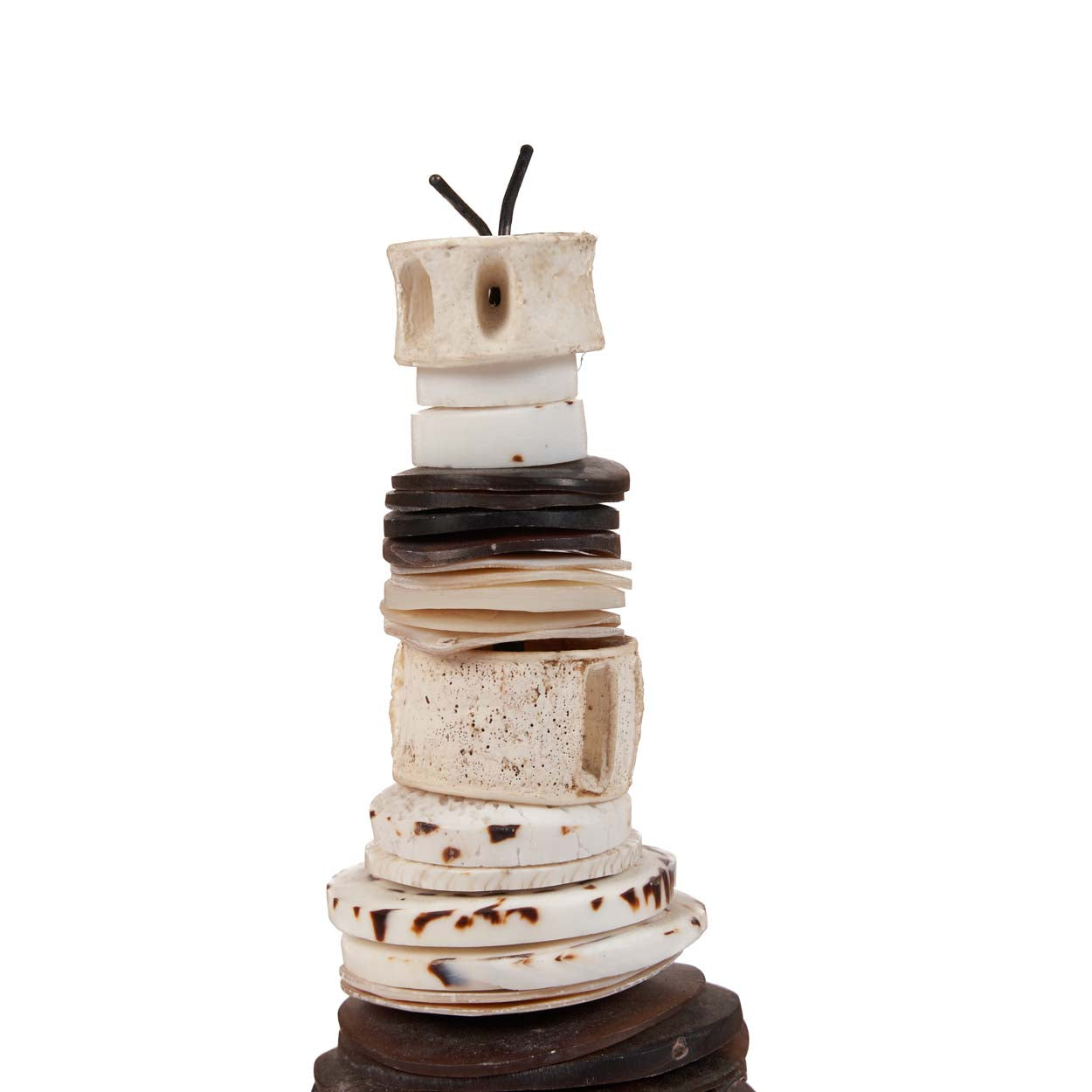 Le Money Shell sur Pied - Noir Blanc - S