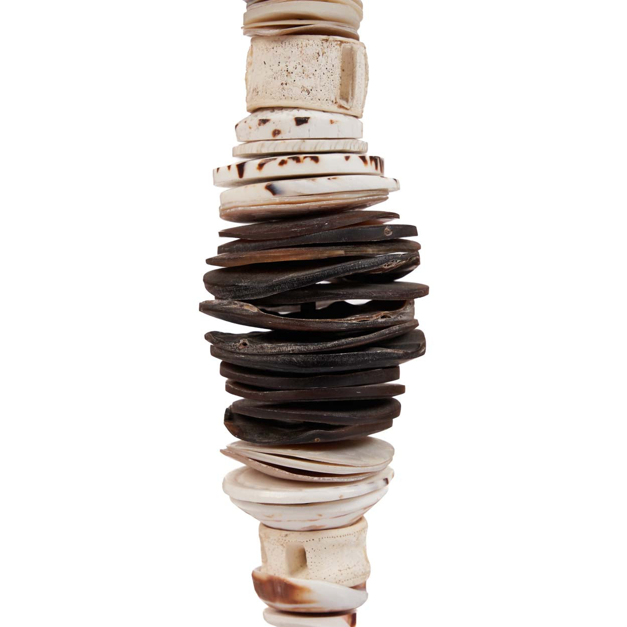 Le Money Shell sur Pied - Noir Blanc - S