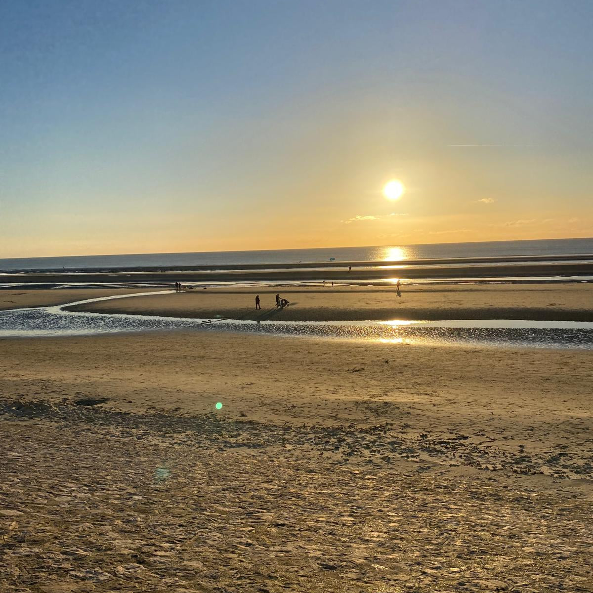 WhatsApp Image 2025-03-13 à 17.41.29_2a93a5a3.jpg__PID:3f07aa68-e8b4-4f32-9346-548ebec5b5c1