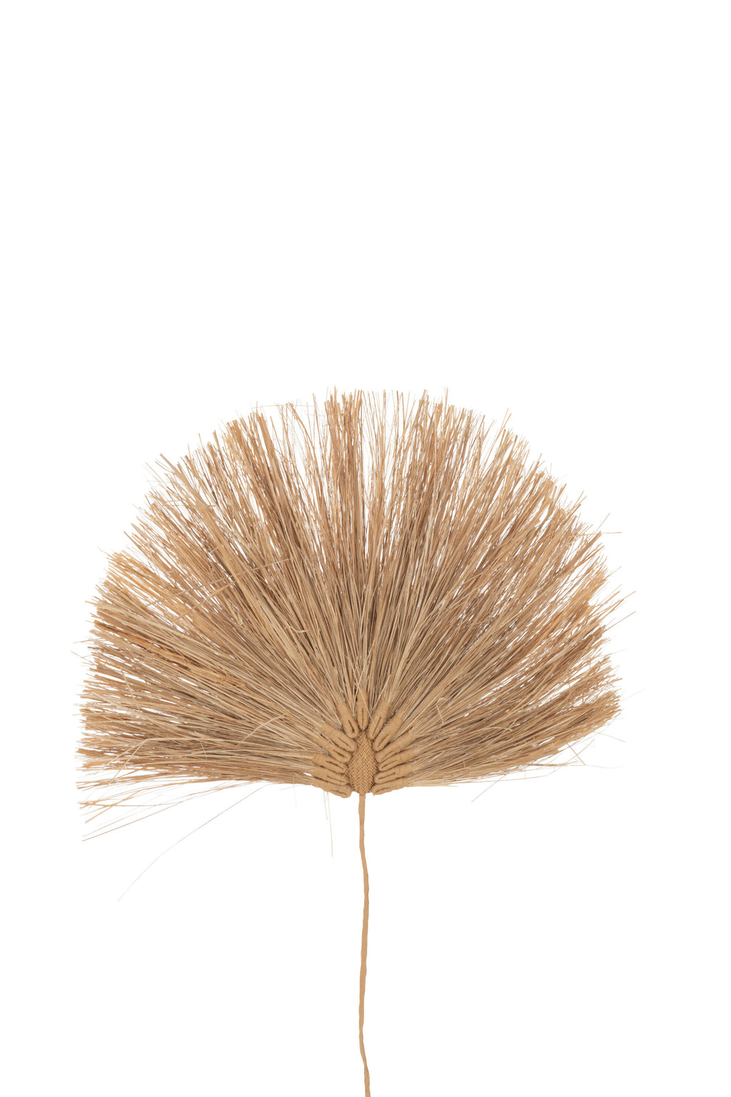 Branche & Feuilles Herbe Naturel