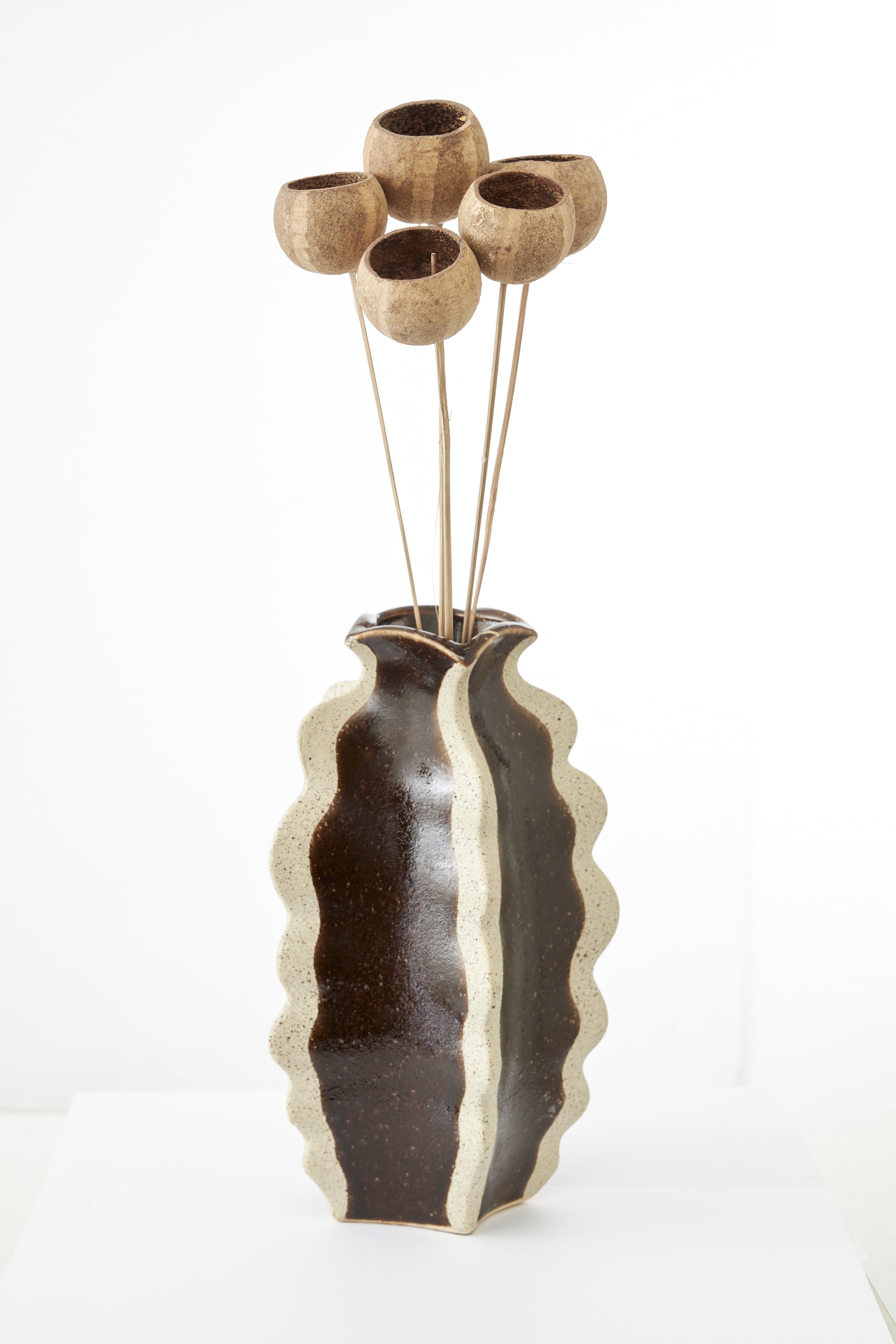 Fleurs séchées naturelles (lot de 5)