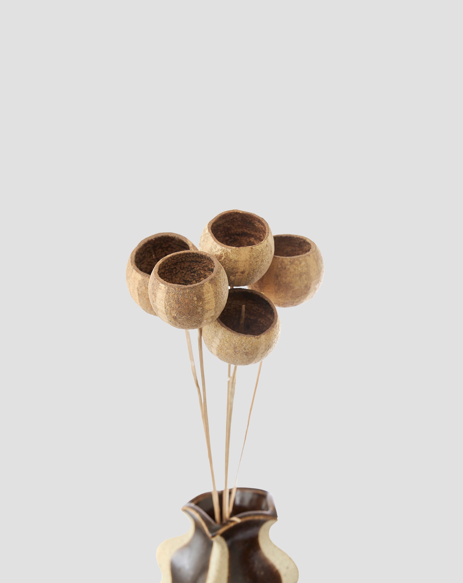 Fleurs séchées naturelles (lot de 5)