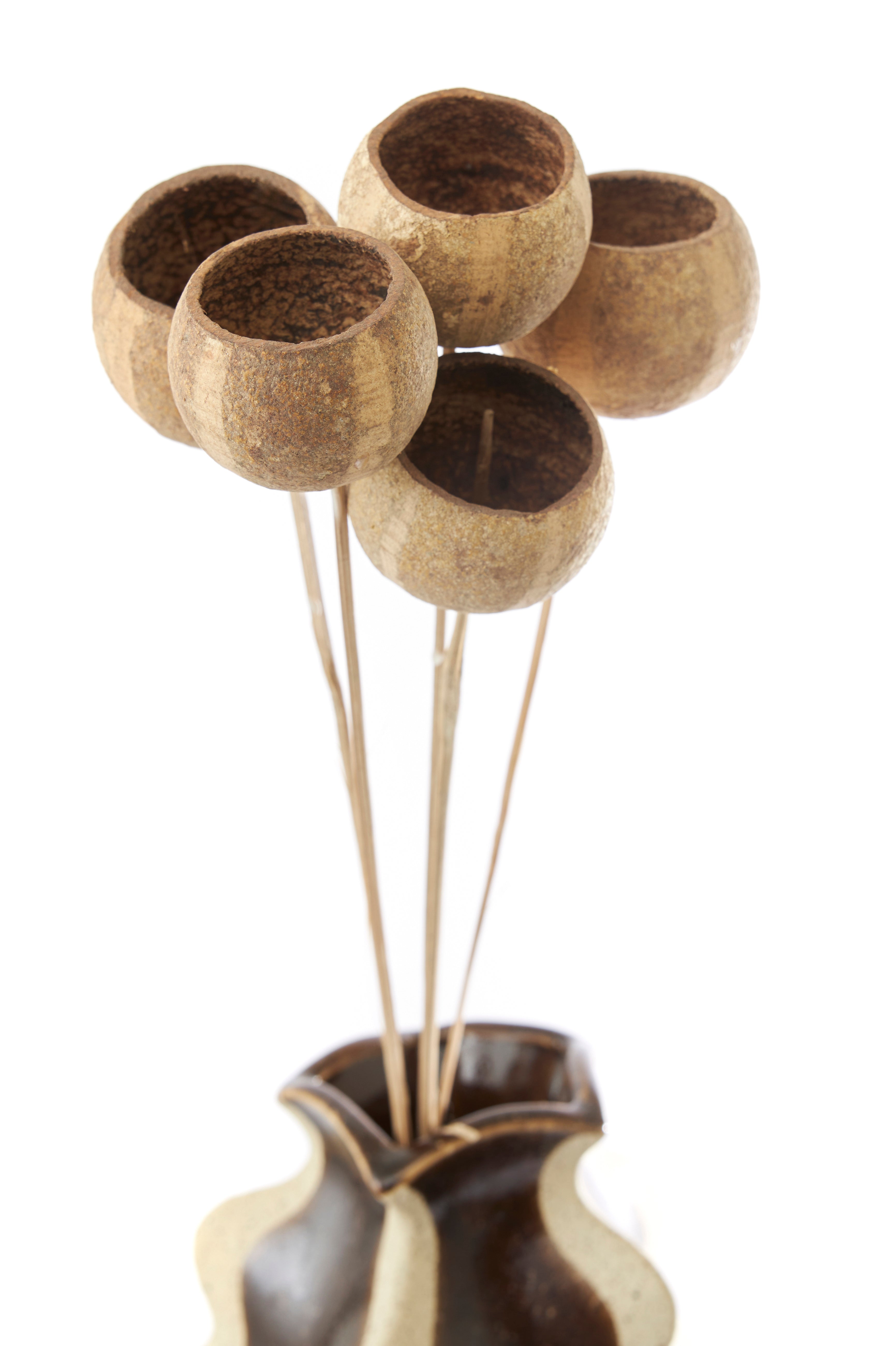 Fleurs séchées naturelles (lot de 5)