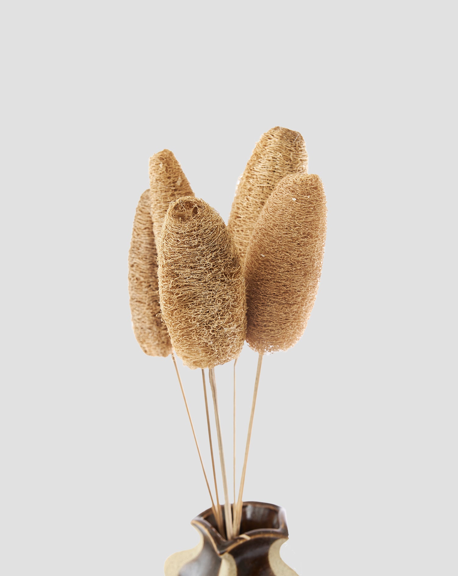 Tiges décoratives en fleurs séchées (lot de 5)