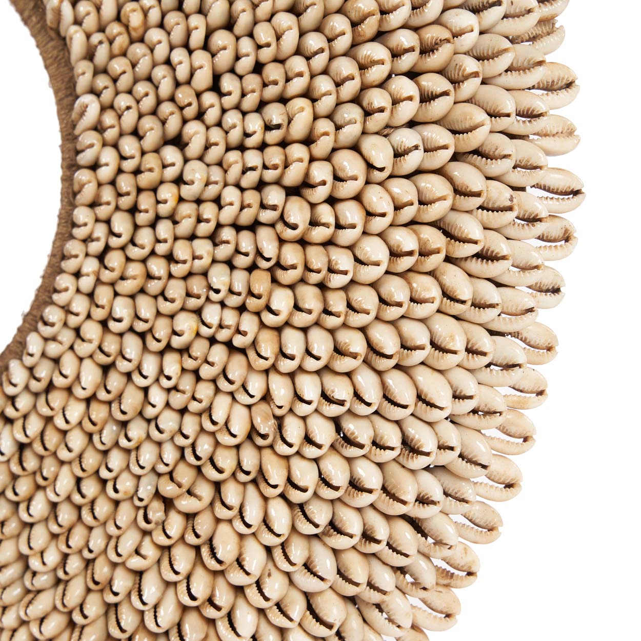 Shell Réunion Sur Pied - Naturel