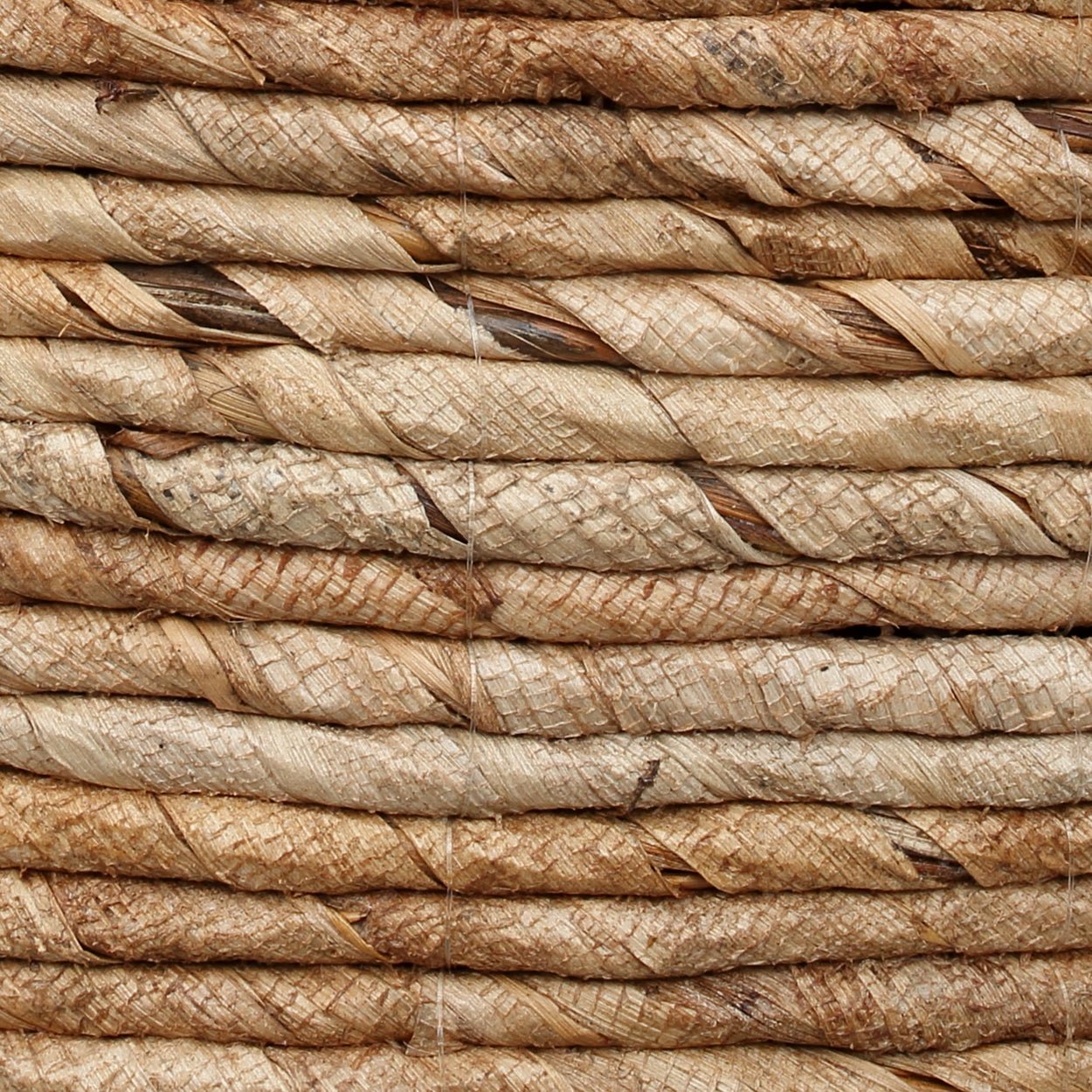 Le Panier Banana - L