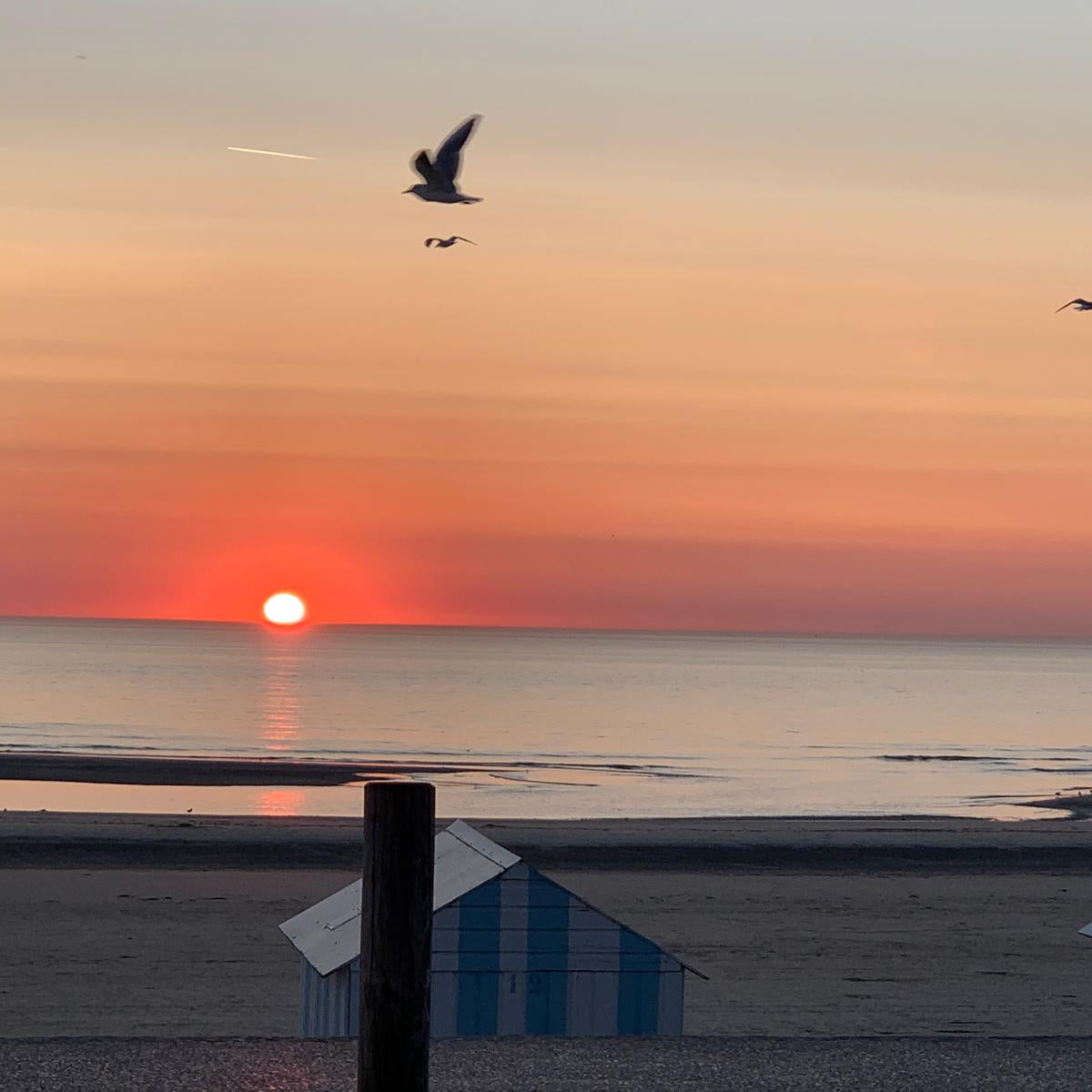 WhatsApp Image 2025-03-13 à 17.41.28_f4323389.jpg__PID:0a97ff4f-a3ef-4f07-aa68-e8b46f32d346