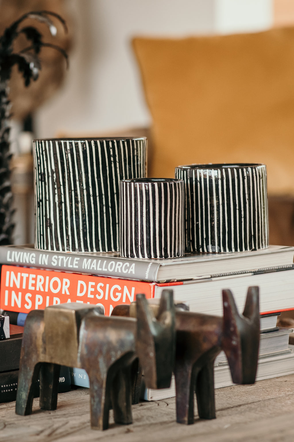 Zébré L - Senteur Mandarine Majorelle