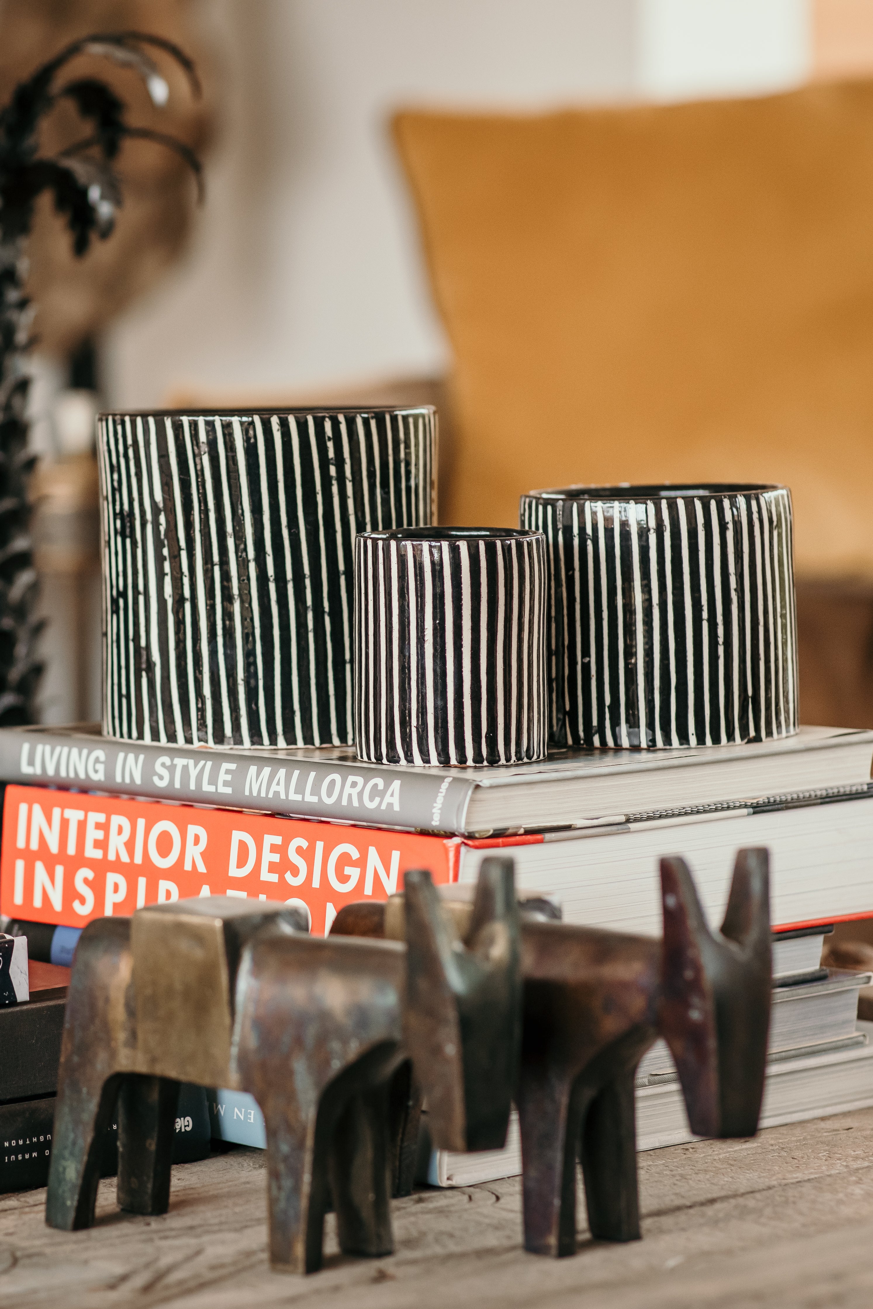 Zébré M - Senteur Mandarine Majorelle